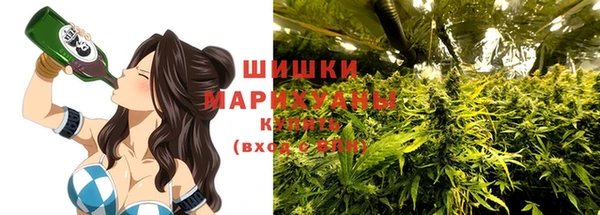 гидра Абаза