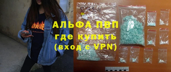 гидра Абаза