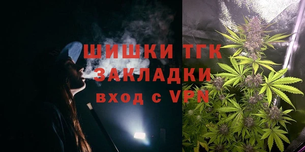 гидра Абаза