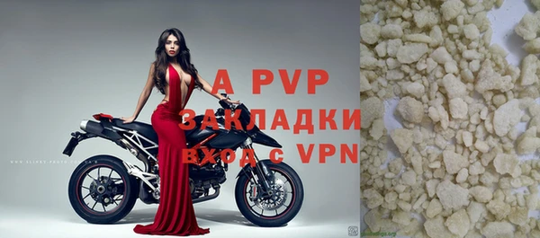 гидра Абаза