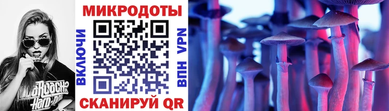 Галлюциногенные грибы мухоморы  Каргополь 